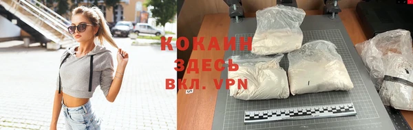 амф Новозыбков