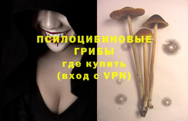 крисы Нязепетровск