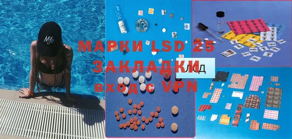 амф Новозыбков