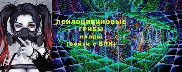 амф Новозыбков