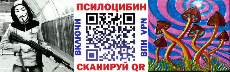 OMG ТОР Петровск-Забайкальский Псилоцибиновые грибы Psilocybe где можно купить наркотик