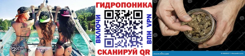 Конопля ГИДРОПОН  MEGA ТОР  Петровск-Забайкальский  закладки 